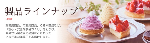 製品ラインナップ